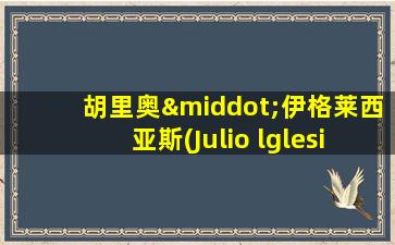 胡里奥·伊格莱西亚斯(Julio lglesias)